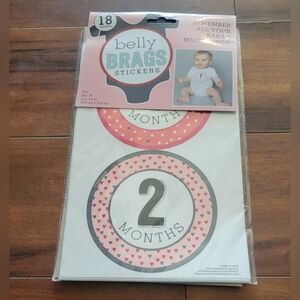NWT Belly Brags Baby Milestone Stickers